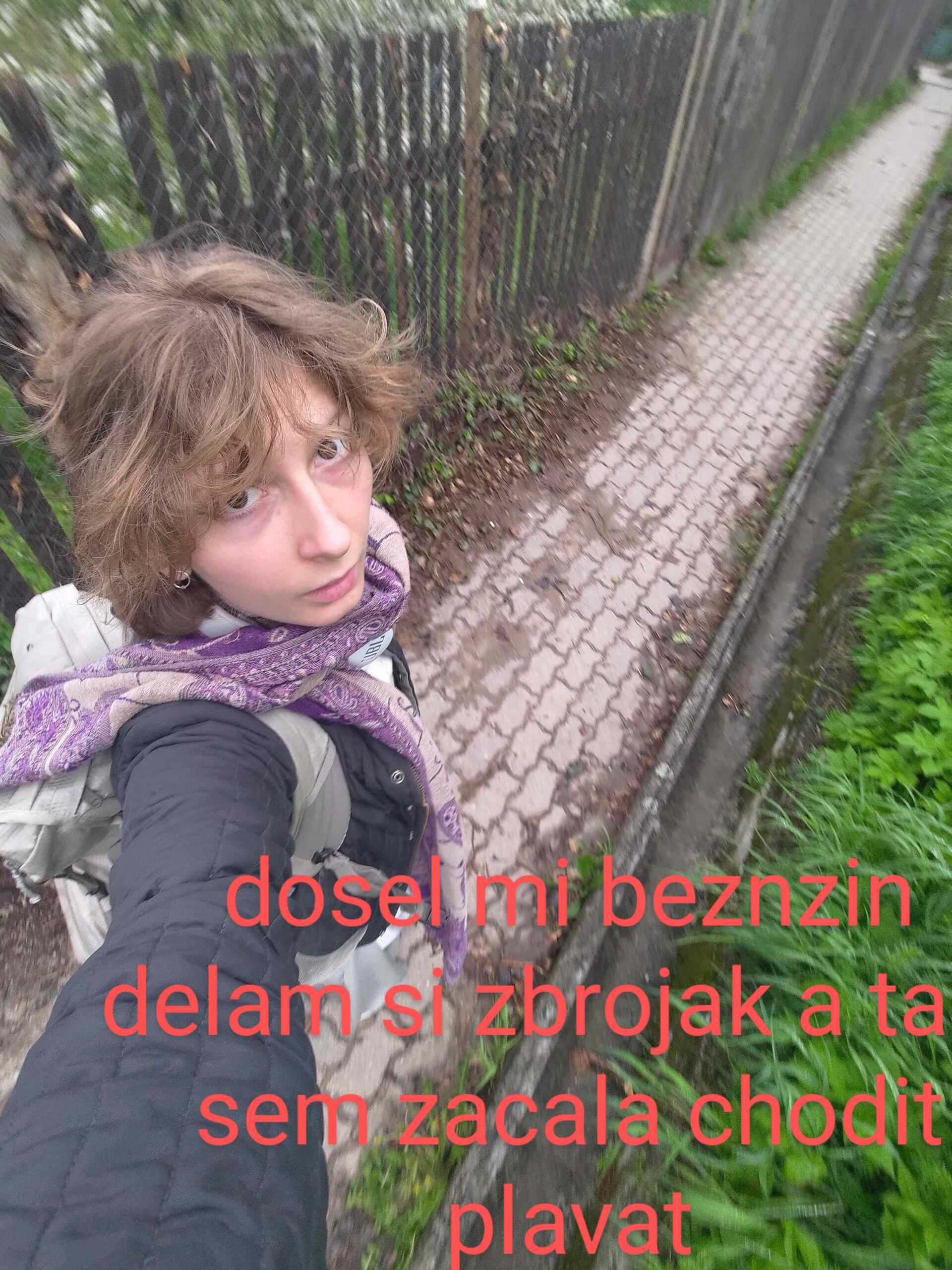 P_20250425_1640492.jpg